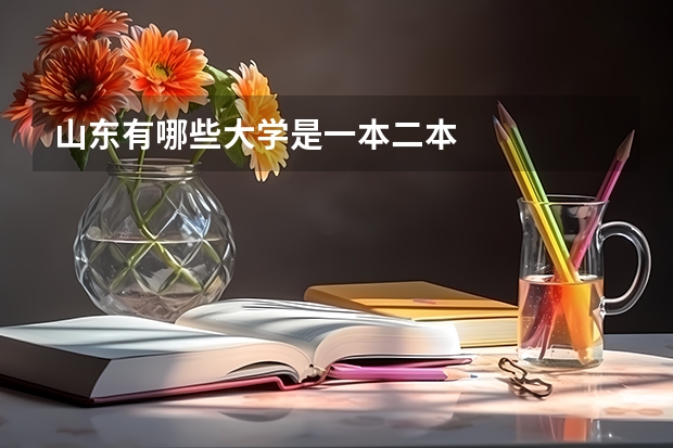 山东有哪些大学是一本二本
