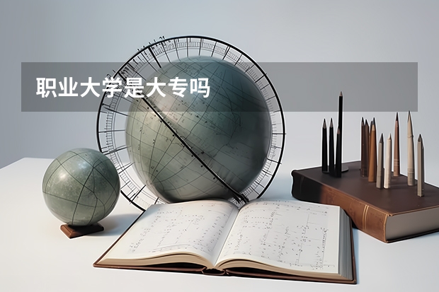 职业大学是大专吗