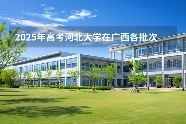 2025年高考河北大学在广西各批次选科要求
