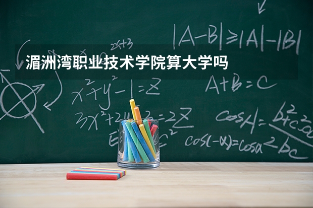 湄洲湾职业技术学院算大学吗