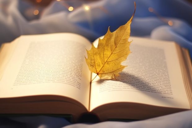 天津大学艺术生美术专业文化课录取分数线是多少?