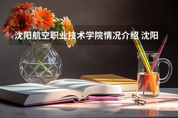 沈阳航空职业技术学院情况介绍 沈阳航空职业技术学院专业以及录取分数