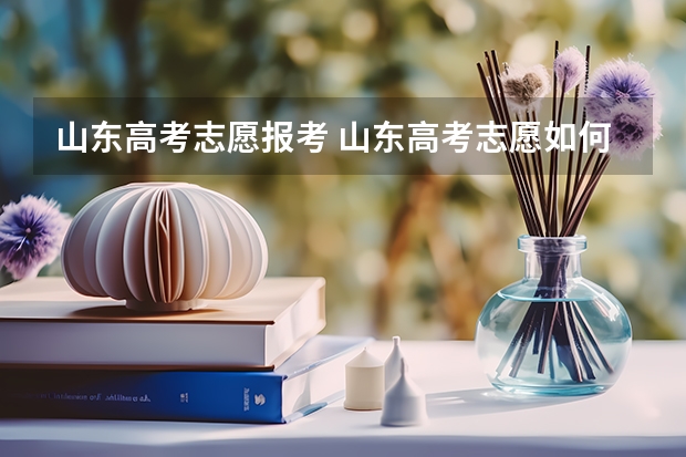 山东高考志愿报考 山东高考志愿如何填报？