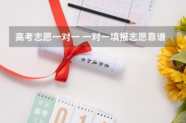 高考志愿一对一 一对一填报志愿靠谱吗