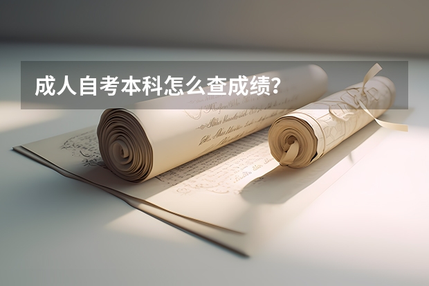 成人自考本科怎么查成绩？