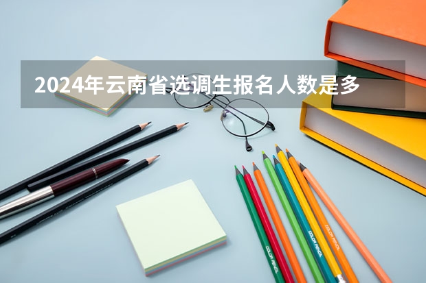 2024年云南省选调生报名人数是多少