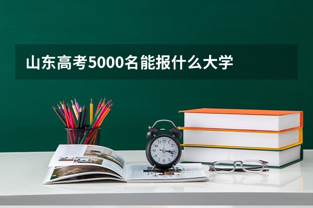 山东高考5000名能报什么大学