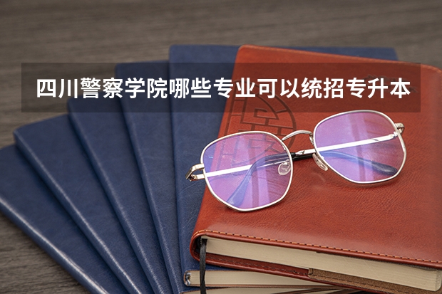 四川警察学院哪些专业可以统招专升本？