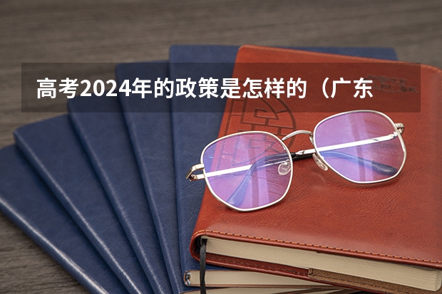 高考2024年的政策是怎样的（广东省2024新高考政策）