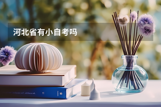 河北省有小自考吗