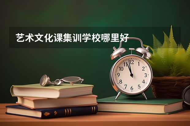 艺术文化课集训学校哪里好