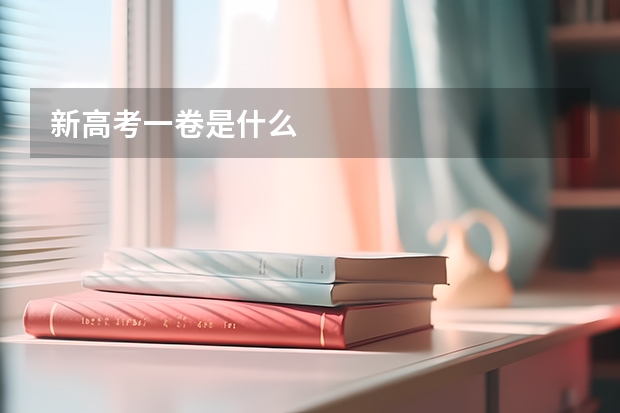 新高考一卷是什么