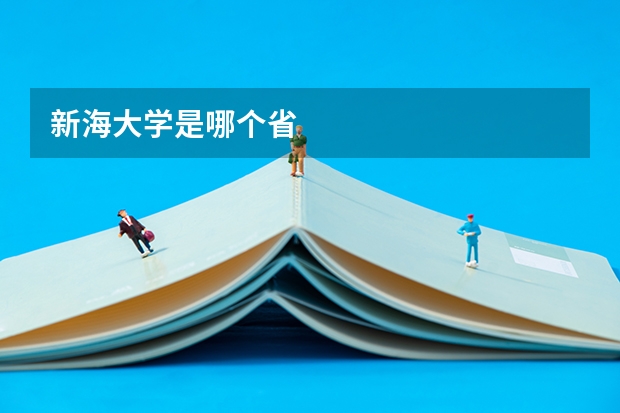 新海大学是哪个省