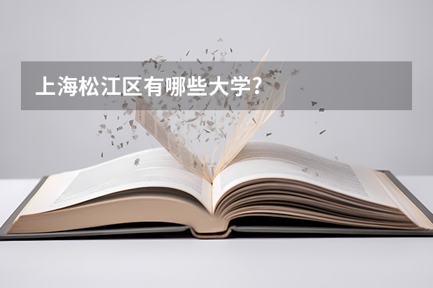 上海松江区有哪些大学?