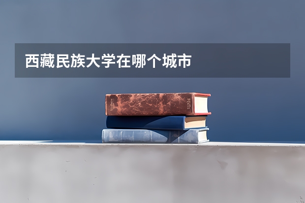 西藏民族大学在哪个城市