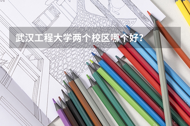 武汉工程大学两个校区哪个好？