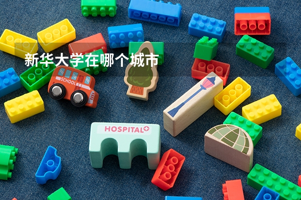 新华大学在哪个城市