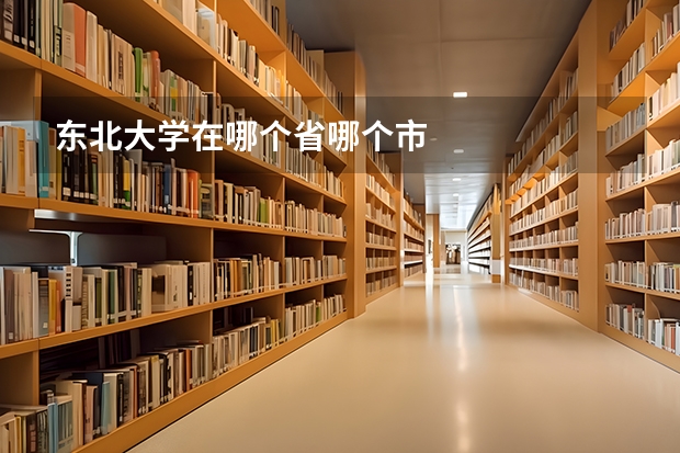 东北大学在哪个省哪个市