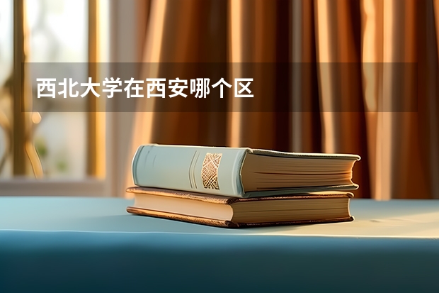 西北大学在西安哪个区