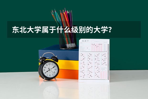东北大学属于什么级别的大学？