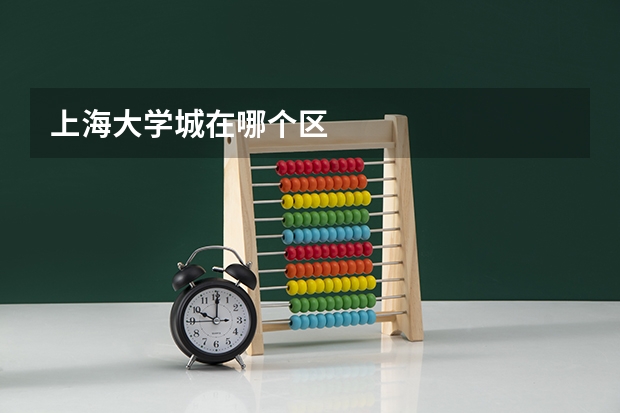 上海大学城在哪个区
