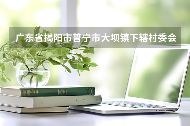 广东省揭阳市普宁市大坝镇下辖村委会有哪些？