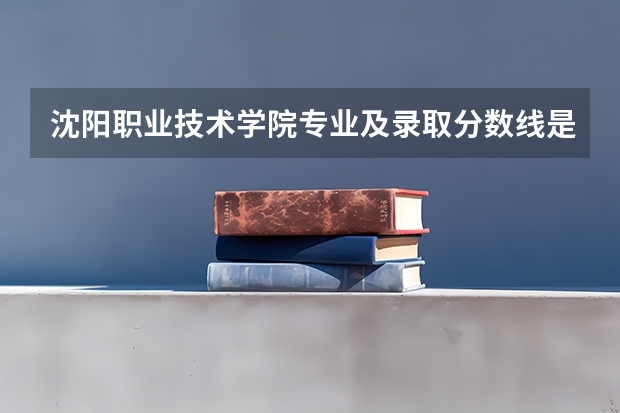 沈阳职业技术学院专业及录取分数线是多少
