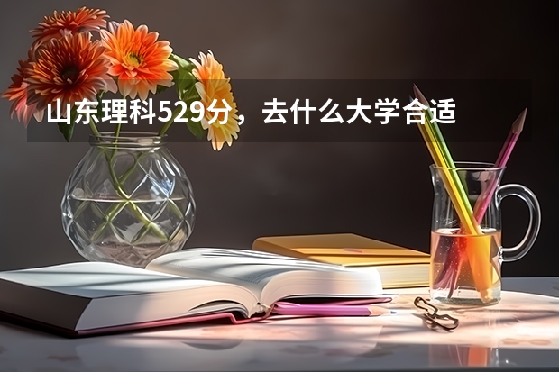 山东理科529分，去什么大学合适