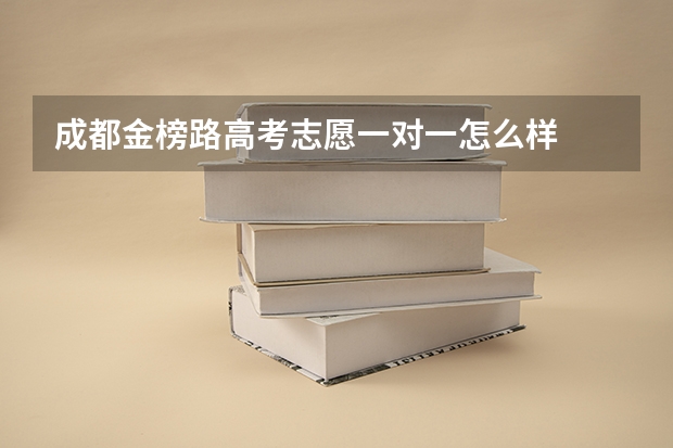 成都金榜路高考志愿一对一怎么样