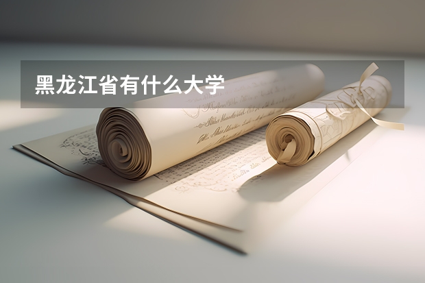 黑龙江省有什么大学