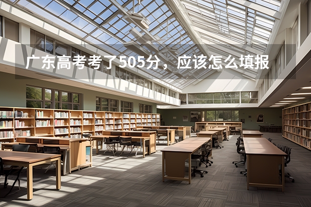 广东高考考了505分,应该怎么填报志愿,第一志愿填二A会有什么后果。