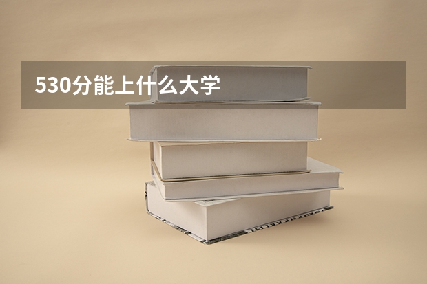 530分能上什么大学