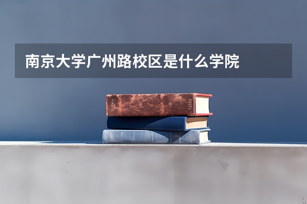 南京大学广州路校区是什么学院