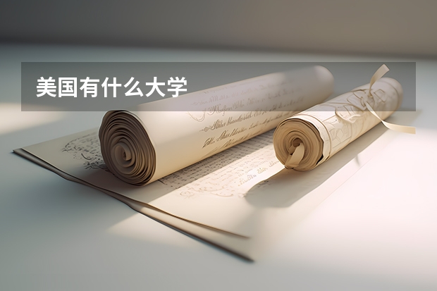 美国有什么大学