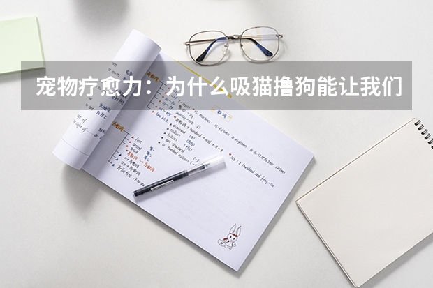 宠物疗愈力:为什么吸猫/撸狗能让我们更快乐