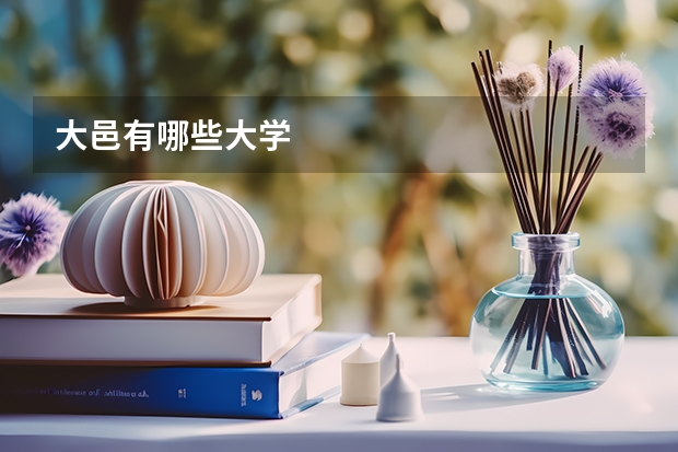 大邑有哪些大学