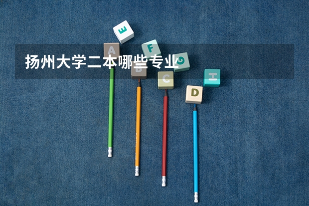 扬州大学二本哪些专业
