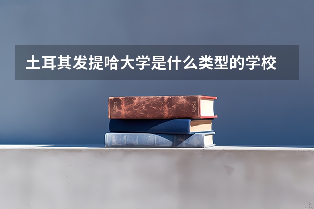 土耳其发提哈大学是什么类型的学校