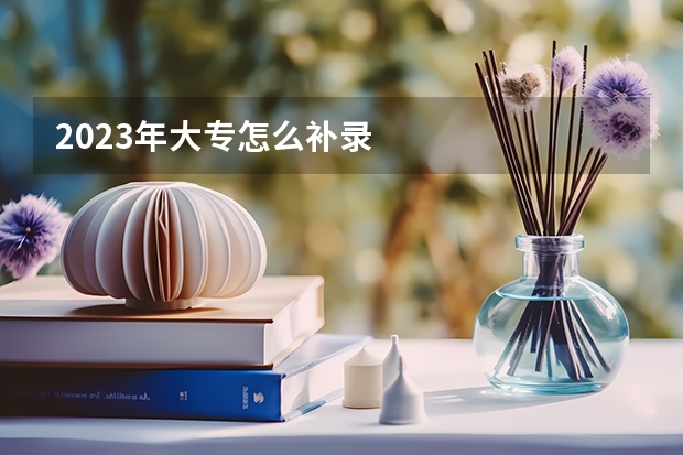 2023年大专怎么补录