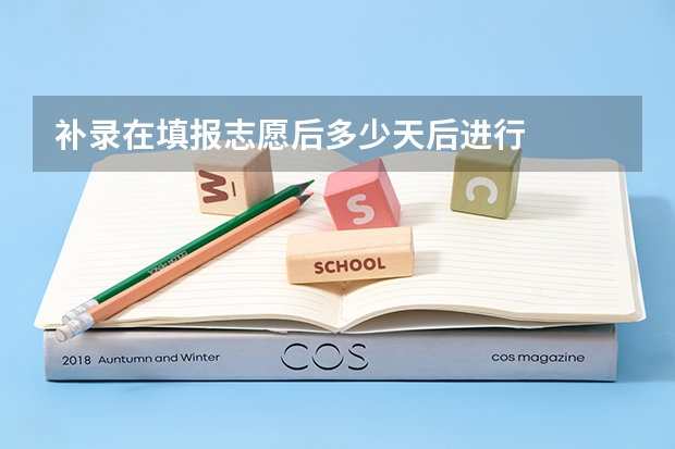 补录在填报志愿后多少天后进行