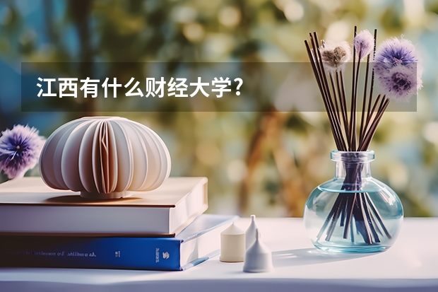 江西有什么财经大学?