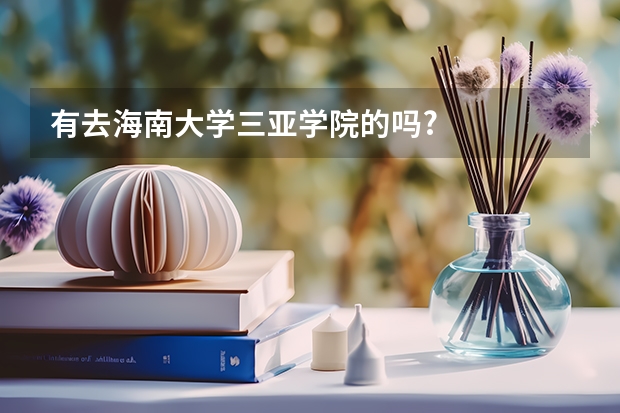 有去海南大学三亚学院的吗?
