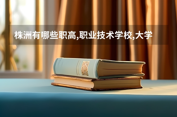 株洲有哪些职高,职业技术学校,大学?