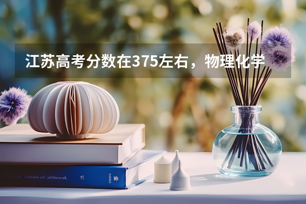 江苏高考分数在375左右,物理化学双A,另外的四门都是A。请问可以报考哪些高校?