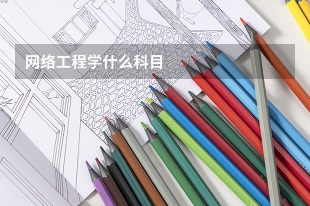 网络工程学什么科目