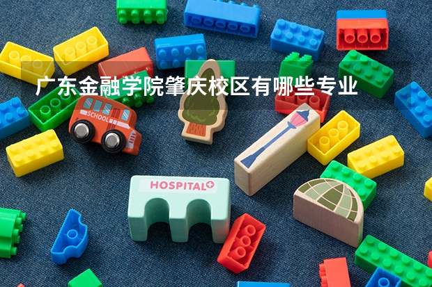 广东金融学院肇庆校区有哪些专业