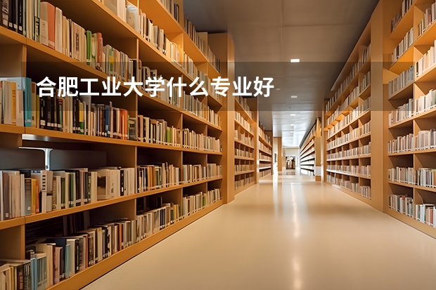 合肥工业大学什么专业好