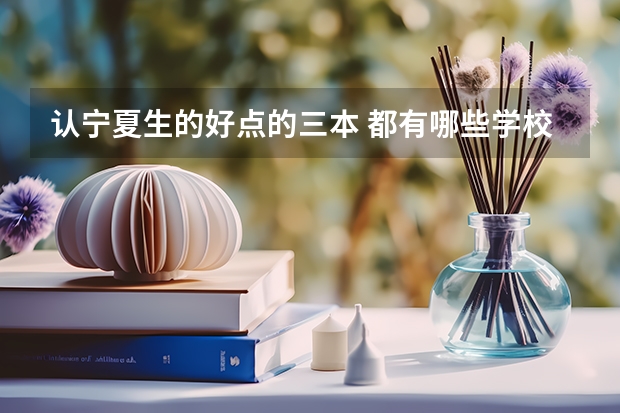 认宁夏生的好点的三本 都有哪些学校？需要多少分数