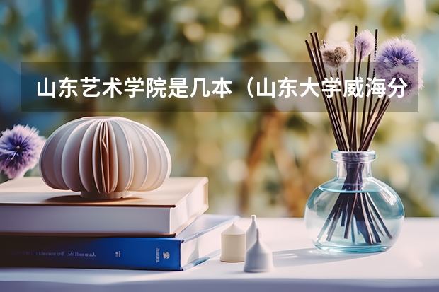 山东艺术学院是几本（山东大学威海分校舞蹈专业是一本还是二本）