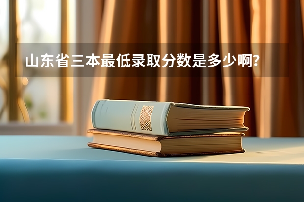 山东省三本最低录取分数是多少啊？